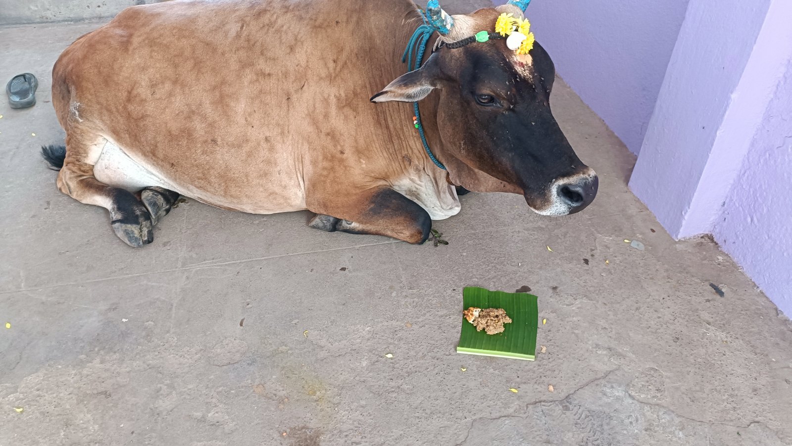 Yegneswaran