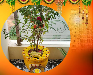 Ksheerabdi Dwadasi Pooja