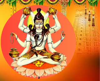 Sri Maha Mritunjaya Homam